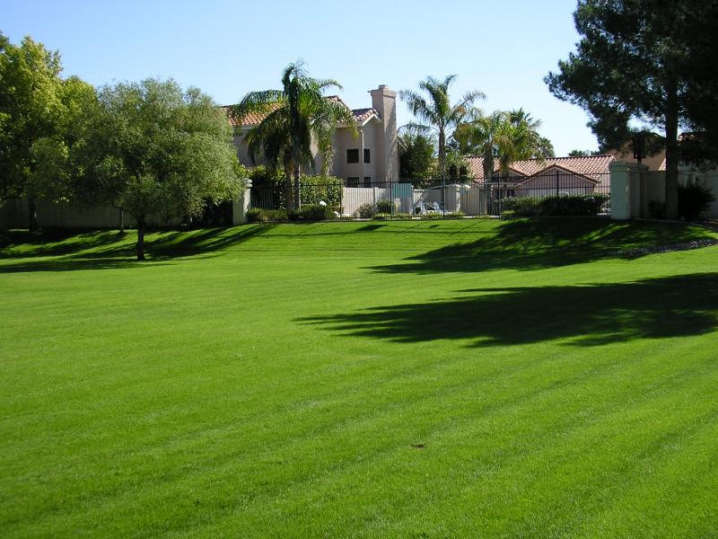 Lawn treatments